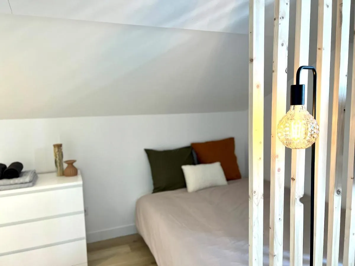 Appartement ~ Sunset Paddle ~ A 15Min De Lyon Miribel  France